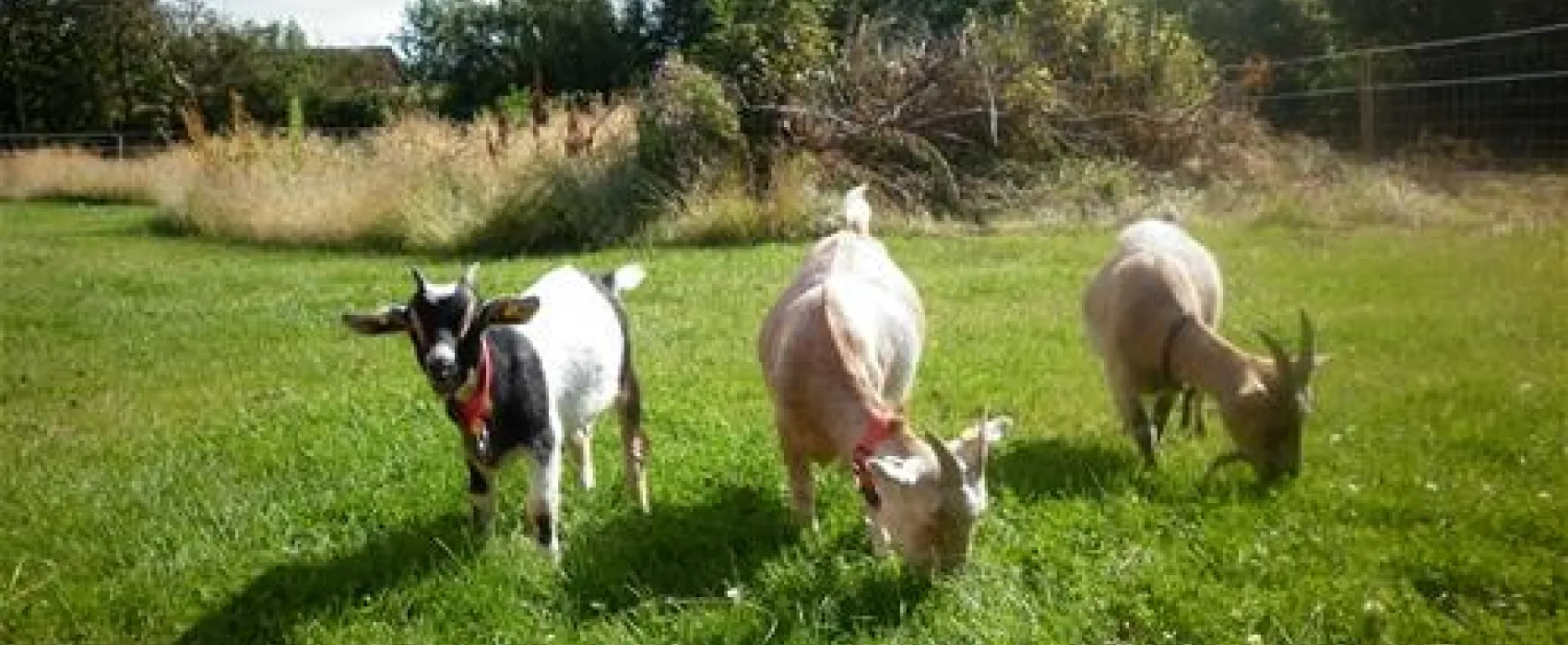 Fjand Camping & Feriecenter