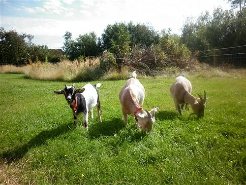 Fjand Camping & Feriecenter