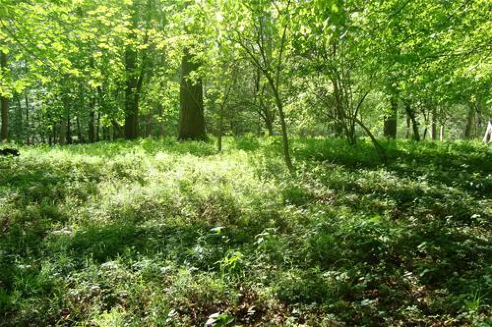 Ostsee-Camping Gut Ludwigsburg