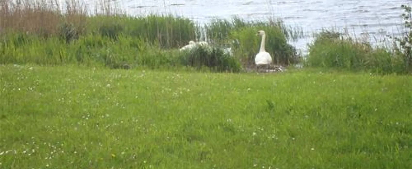 Ostsee-Camping Gut Ludwigsburg