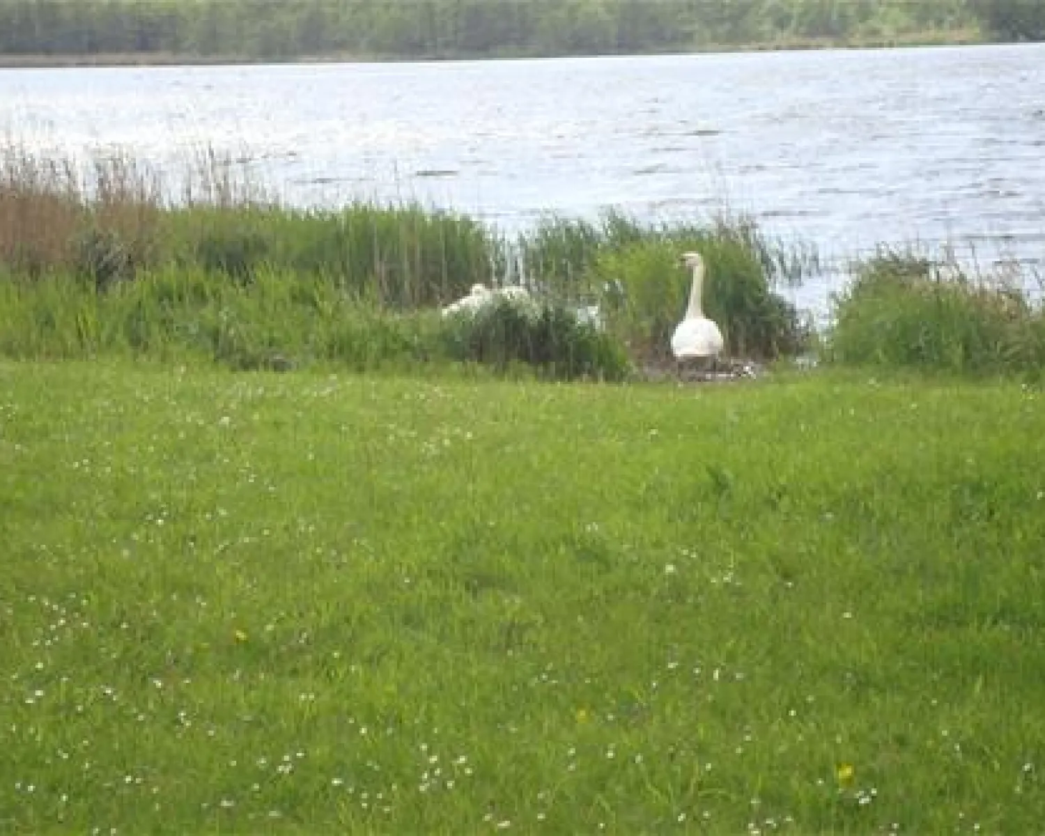 Ostsee-Camping Gut Ludwigsburg in Germany - Spottocamp - Spottocamp