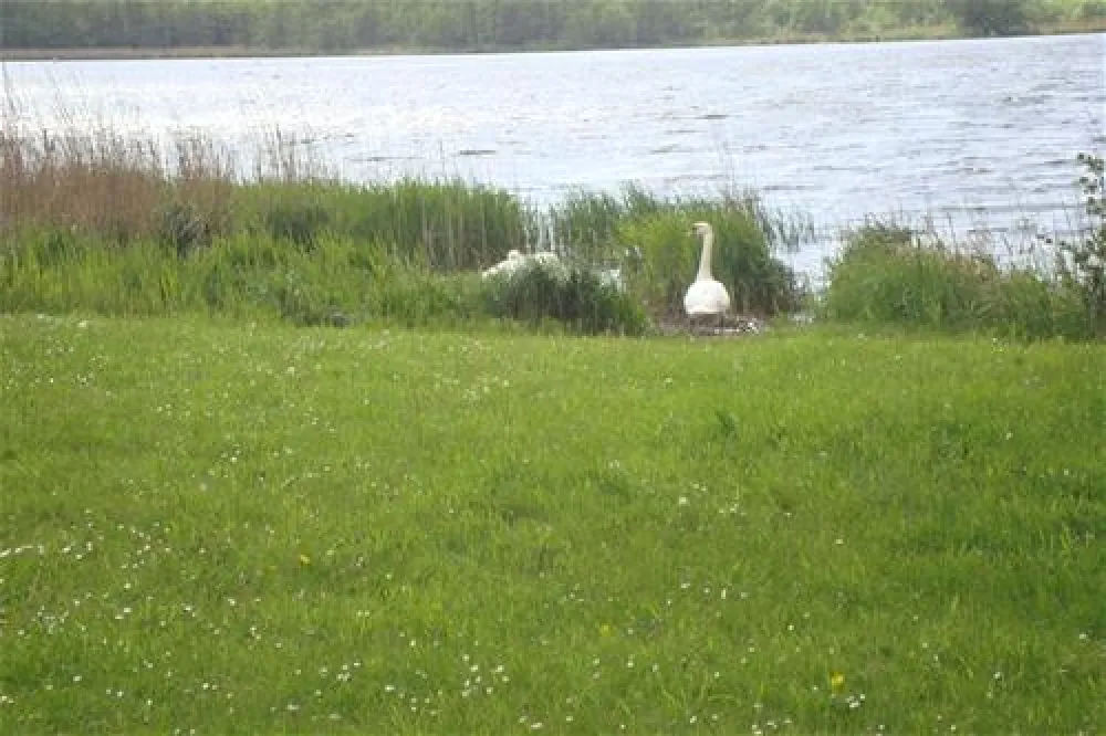 Ostsee-Camping Gut Ludwigsburg