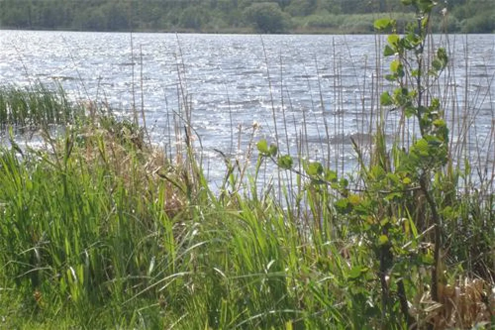 Ostsee-Camping Gut Ludwigsburg