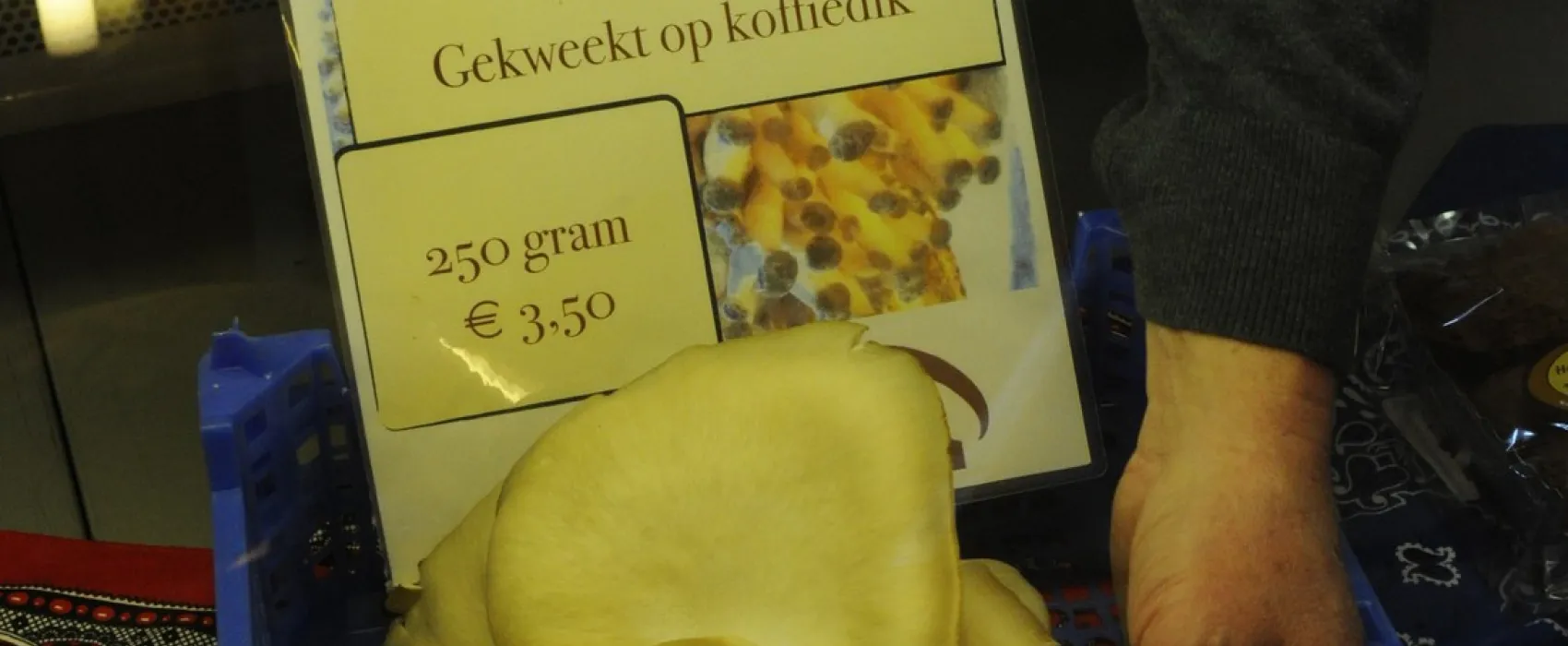 Mini-camping de Zwammenberg