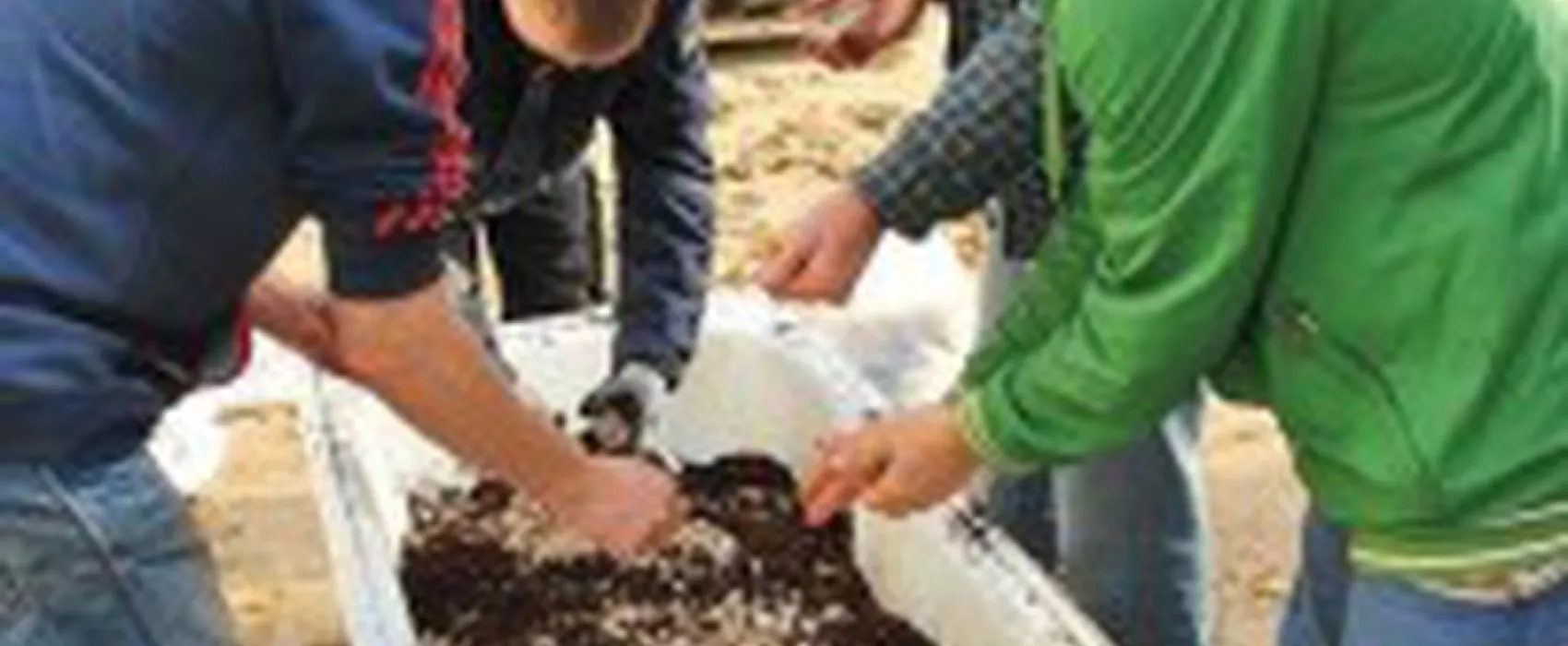 Mini-camping de Zwammenberg