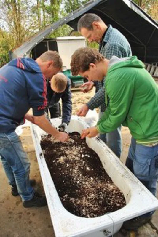 Mini-camping de Zwammenberg