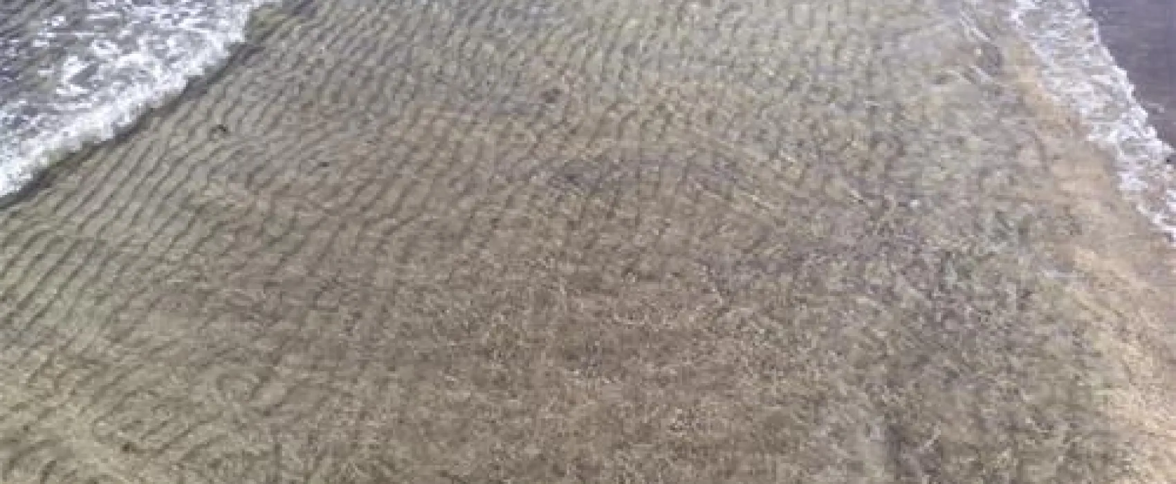 Parque de Campsimo do Pinheiro