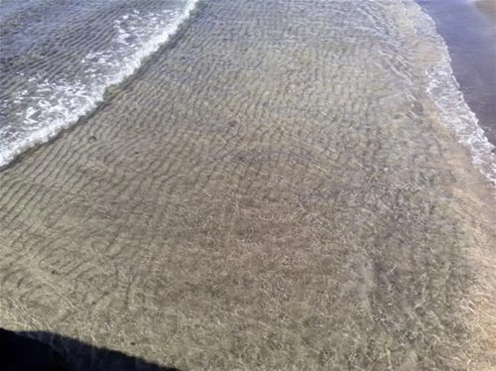 Parque de Campsimo do Pinheiro