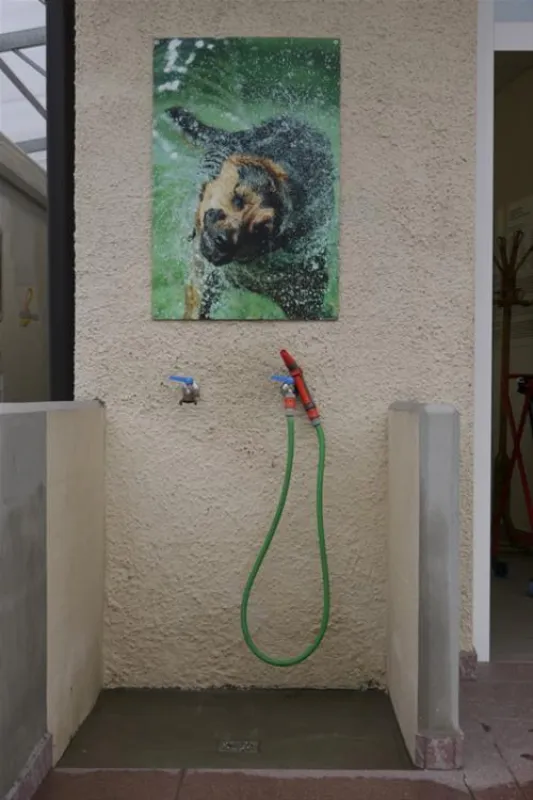 LernCamping® Moosbauer