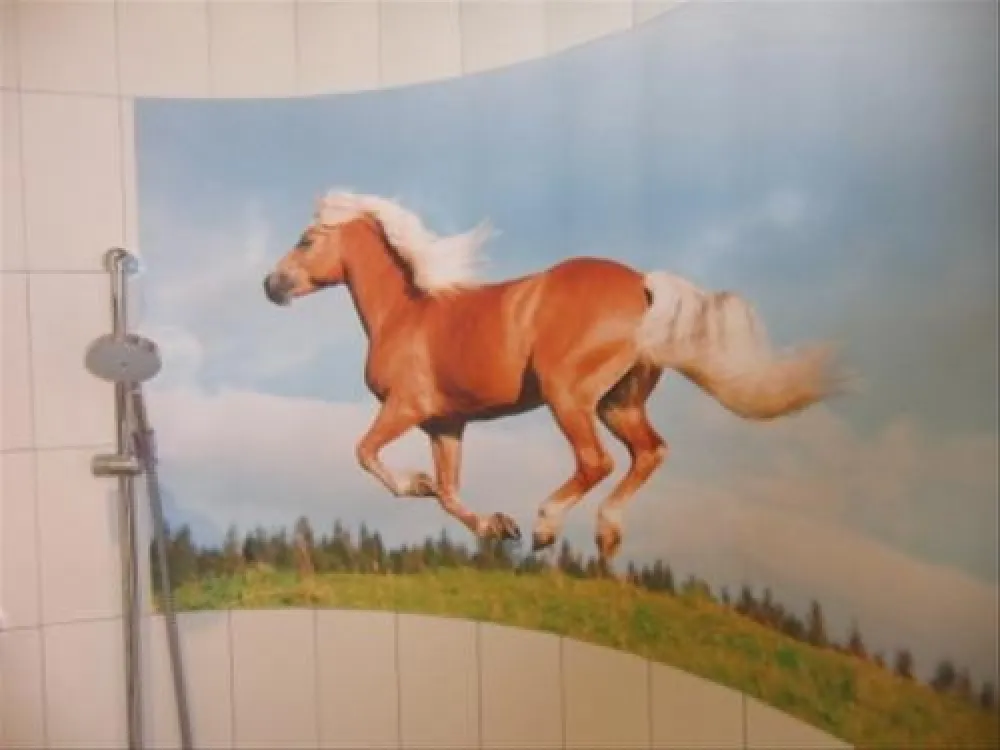 LernCamping® Moosbauer