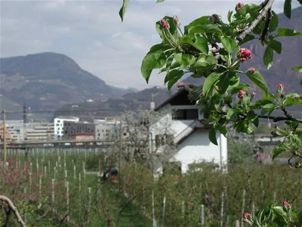 LernCamping® Moosbauer