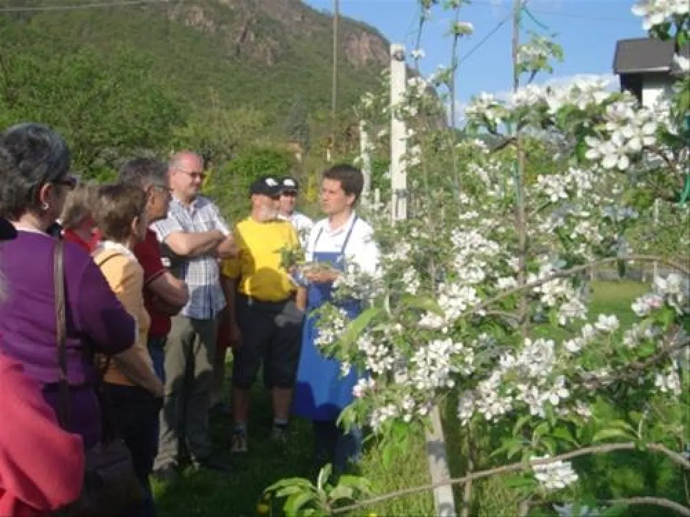 LernCamping® Moosbauer