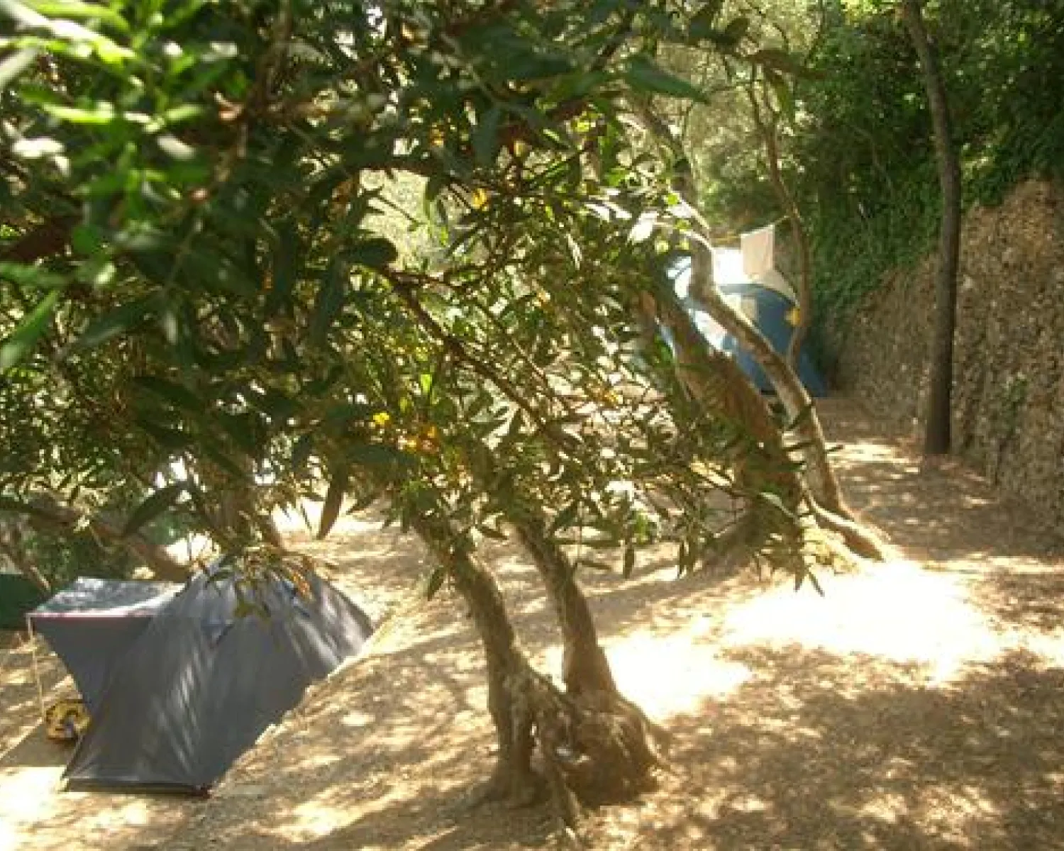 klappstuhl campingstuhl Schwerlast-Campingstuhl (bis 204 kg) main image 0