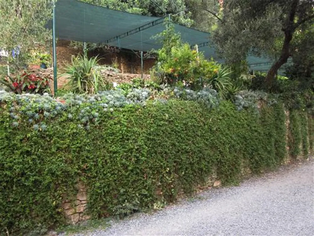 Camping San Sebastiano