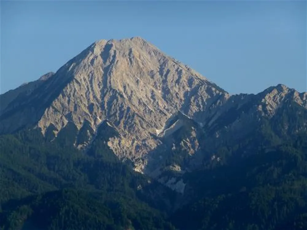 Familien-Camping Ferien am Walde