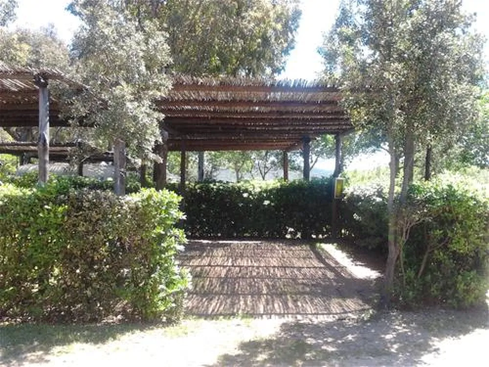 Camping Tavolara