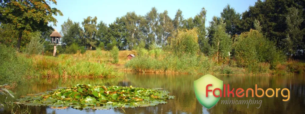 Minicamping Falkenborg