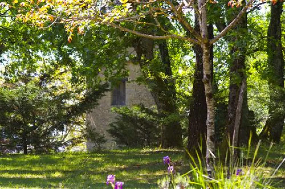 Domaine Les Pastourels