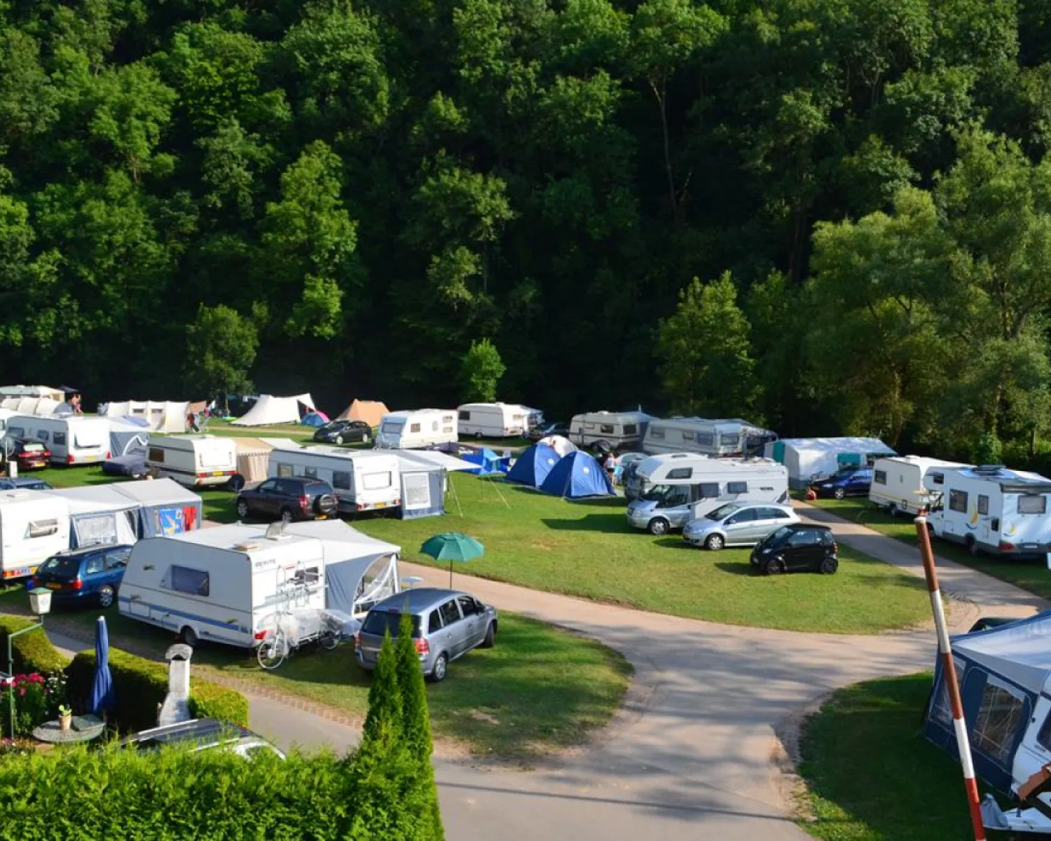 mobiler hundezaun camping Hundesportzaun  Reifest & UV-bestndig, 30100 m