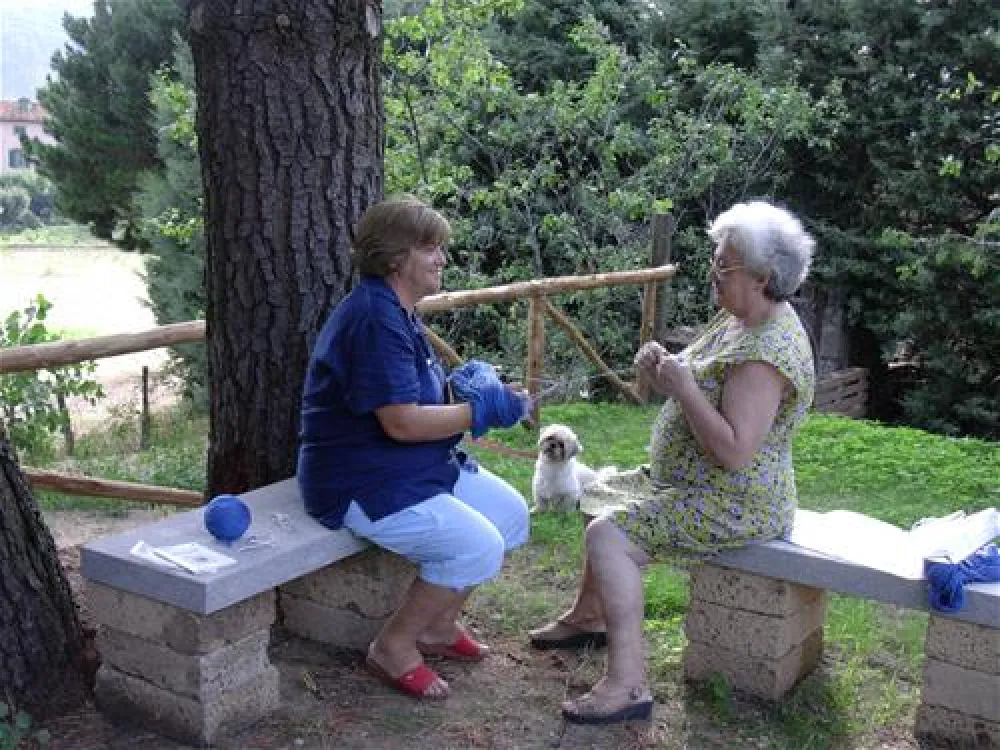 Camping Residence Amiata