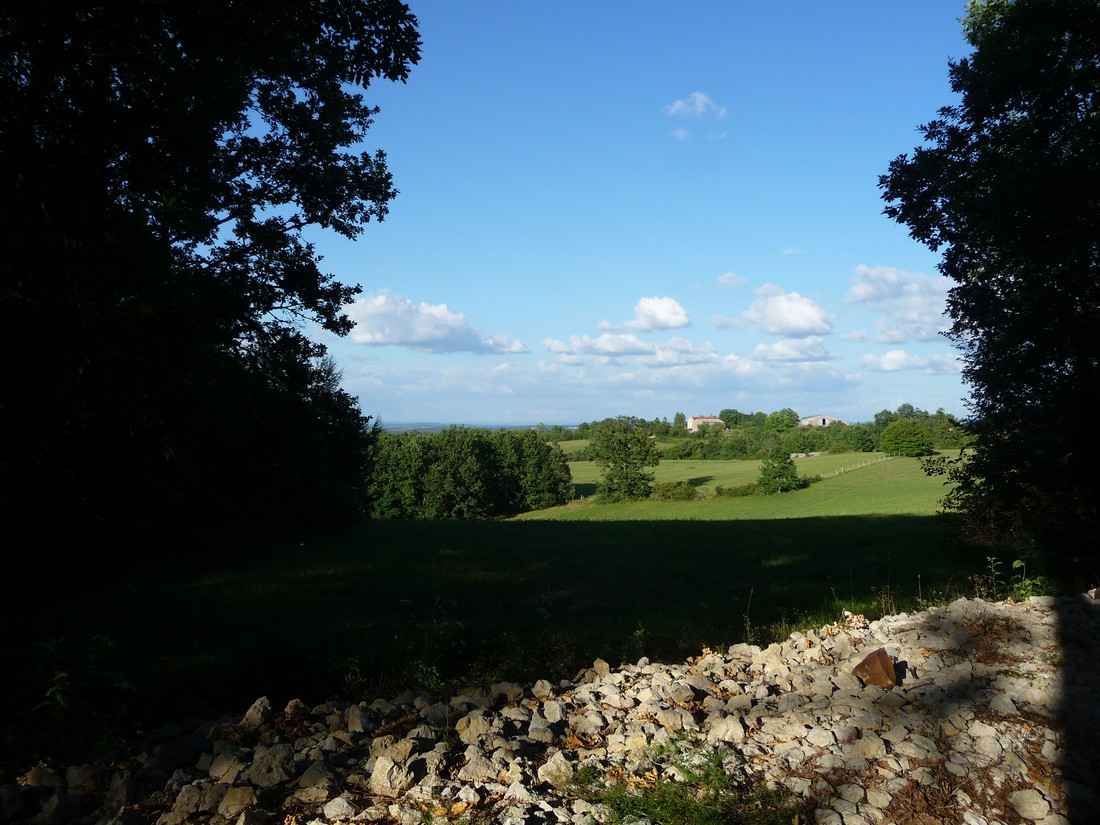 Camping Panoramic photo 3