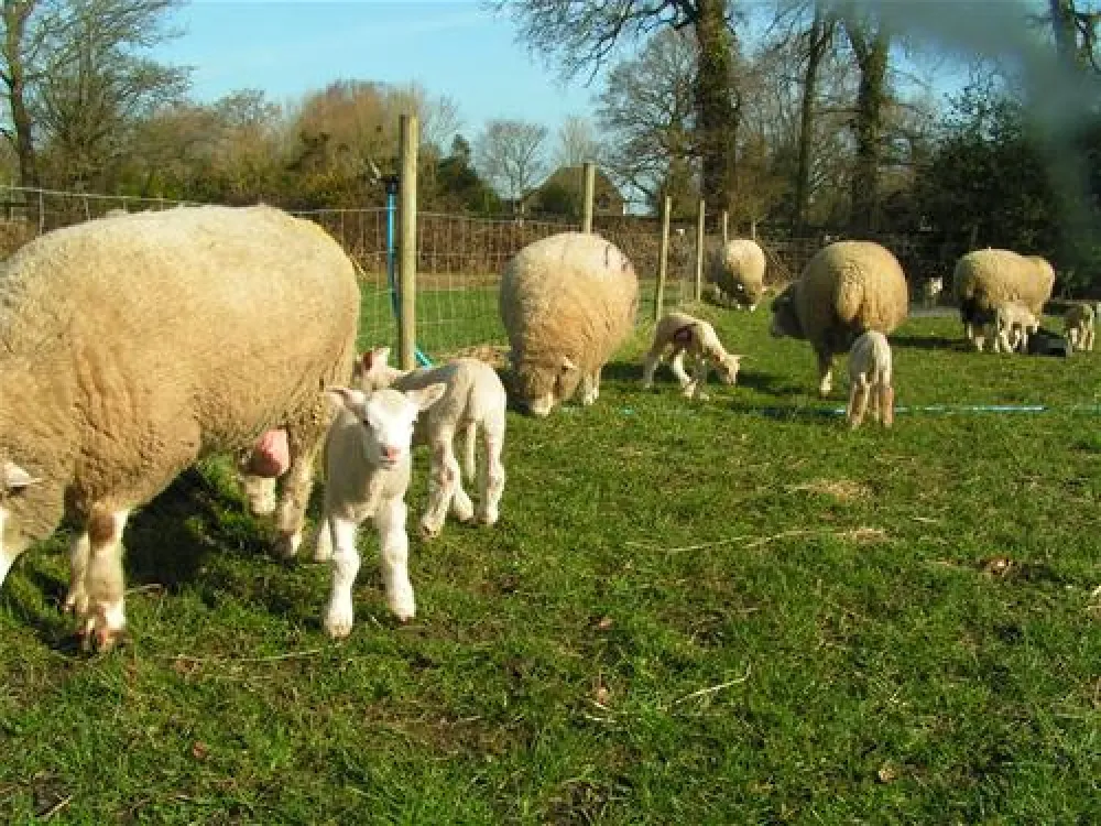 Gundrys Farm Campsite