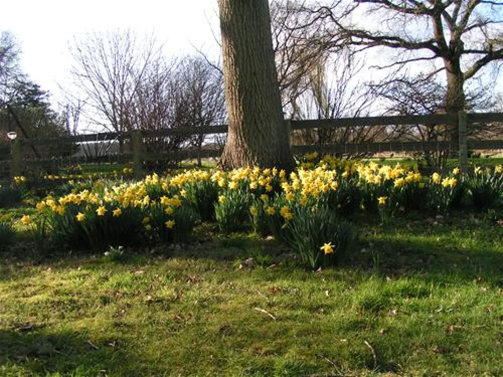Gundrys Farm Campsite