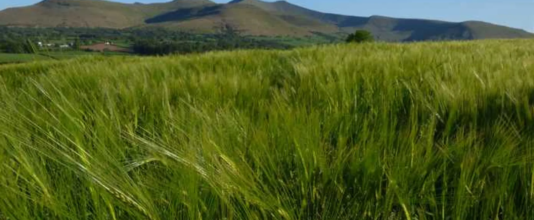 Pencelli Castle Caravan &amp; Camping Park