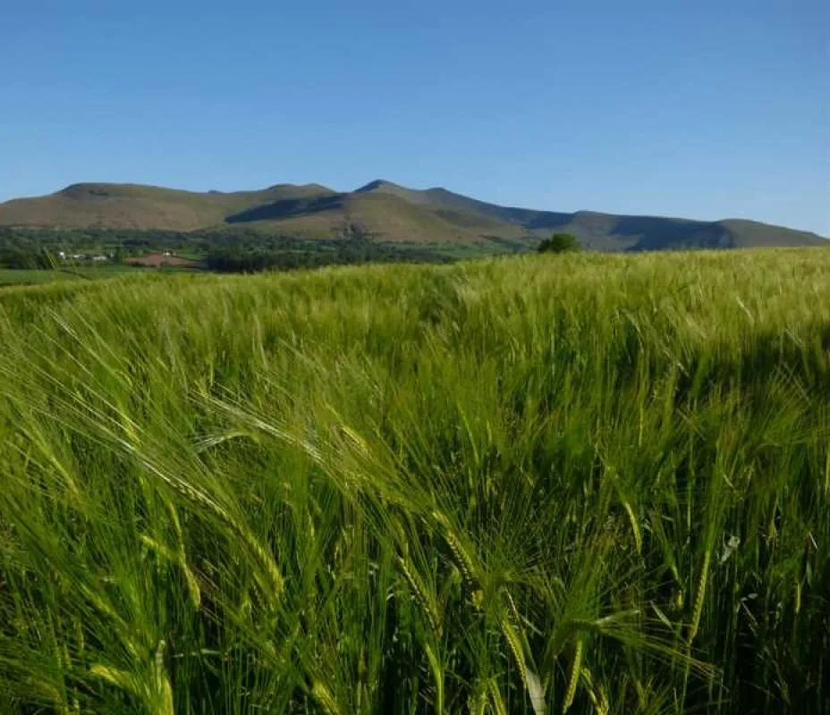 Pencelli Castle Caravan &amp; Camping Park