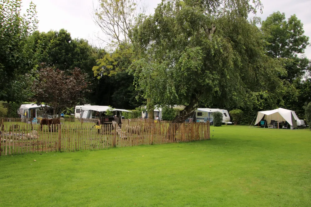 Camping Langs de Dedemsvaart