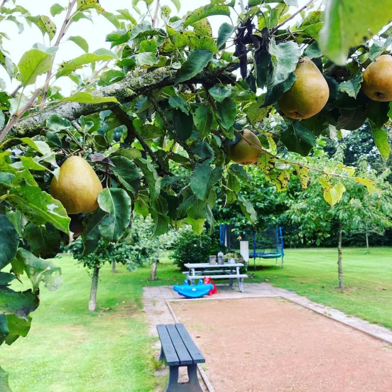 Camping Langs de Dedemsvaart