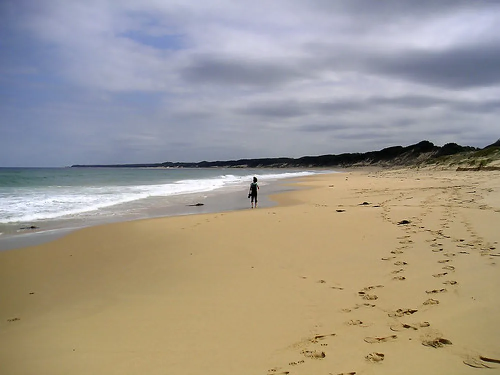 Pearl Point Campground