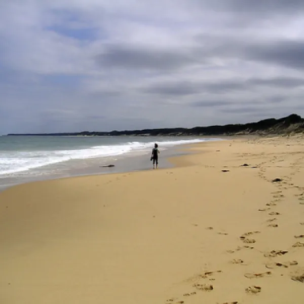 Pearl Point Campground