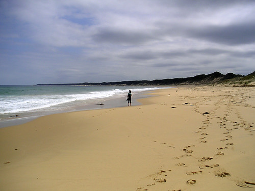 Pearl Point Campground photo 3
