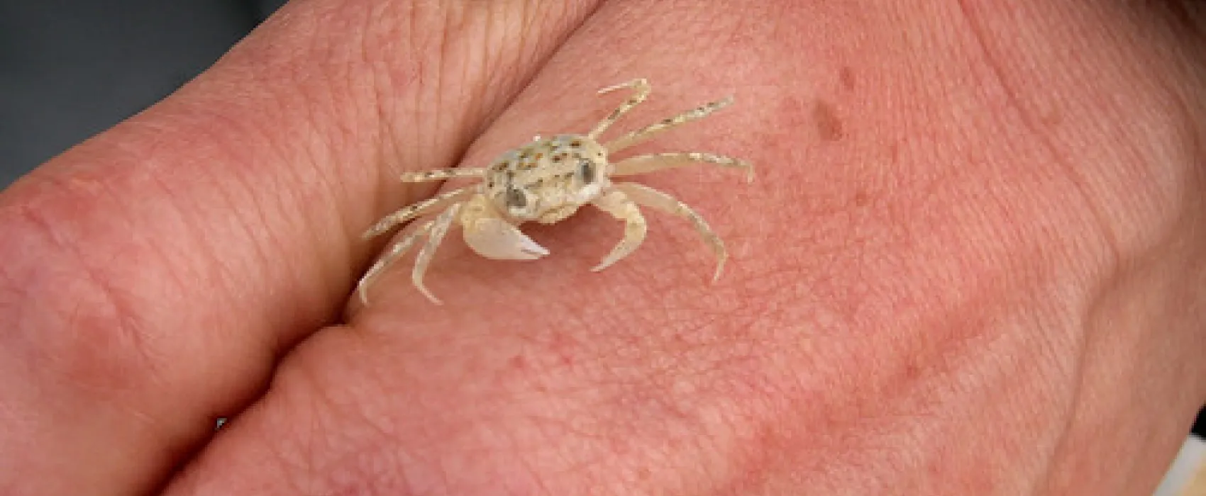 Pearl Point Campground