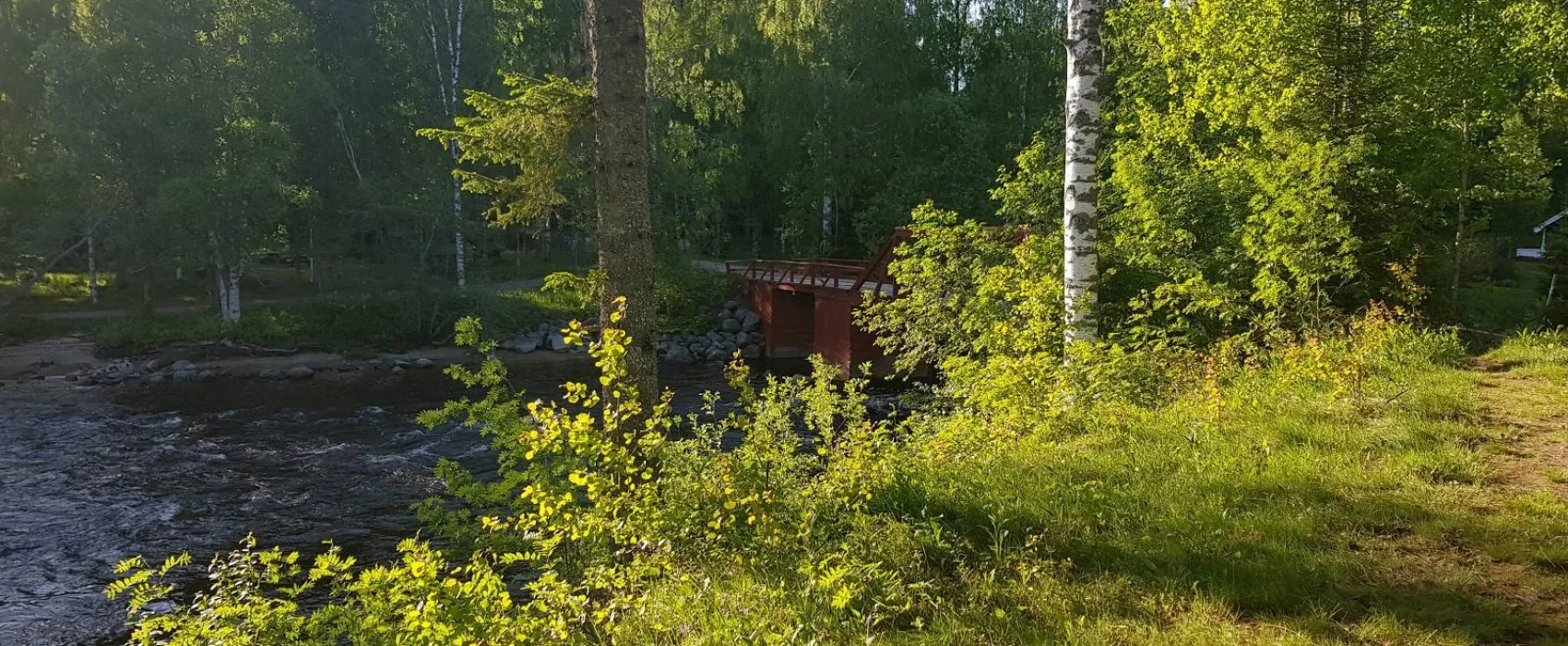 Where the wild river runs