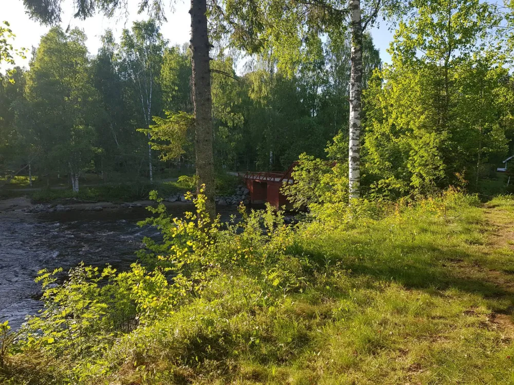 Where the wild river runs