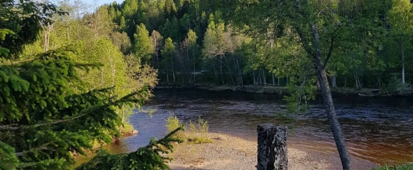 Where the wild river runs