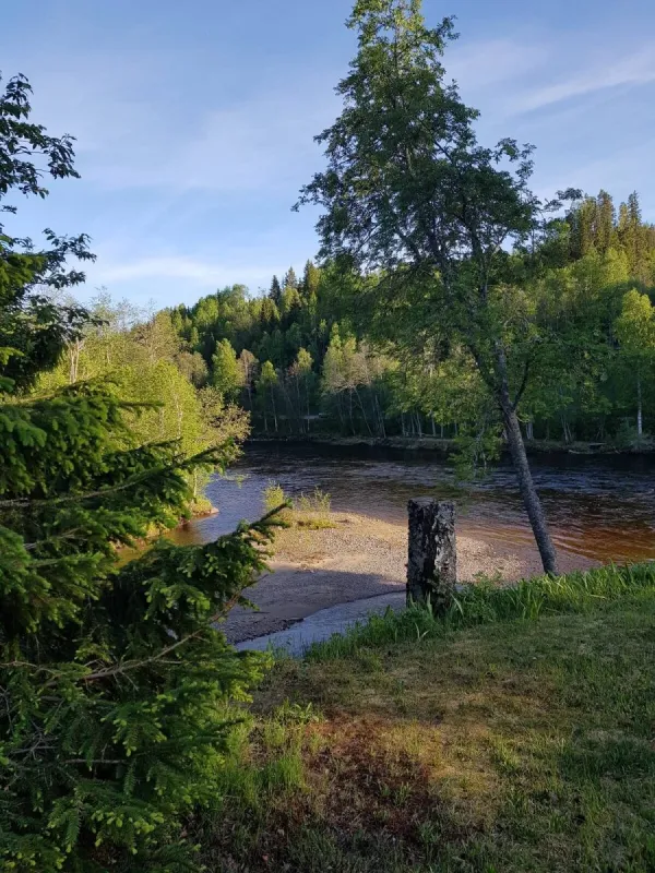 Where the wild river runs