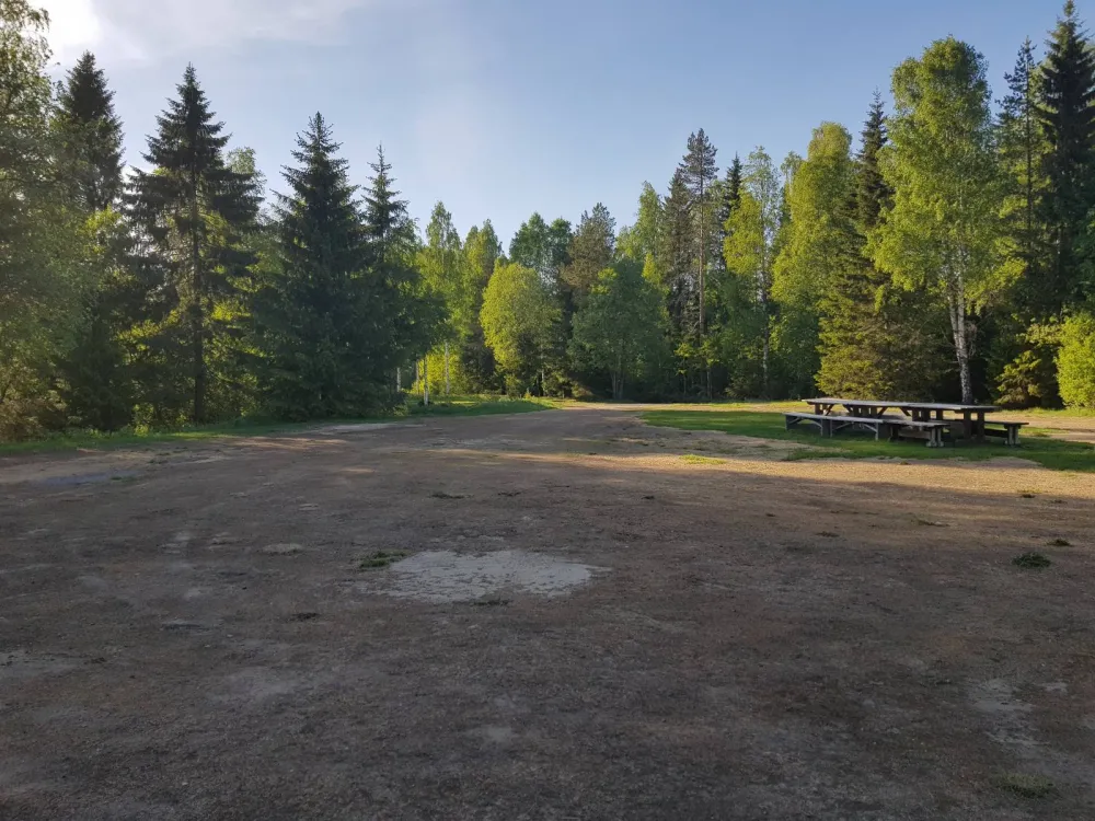 Where the wild river runs