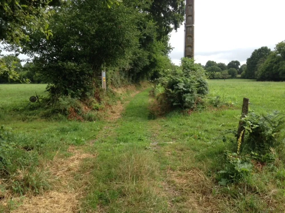 Rural la Ribardière