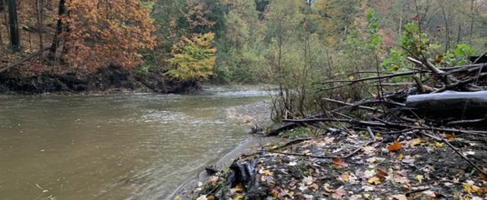 Uncle Johns Elk Creek Campground