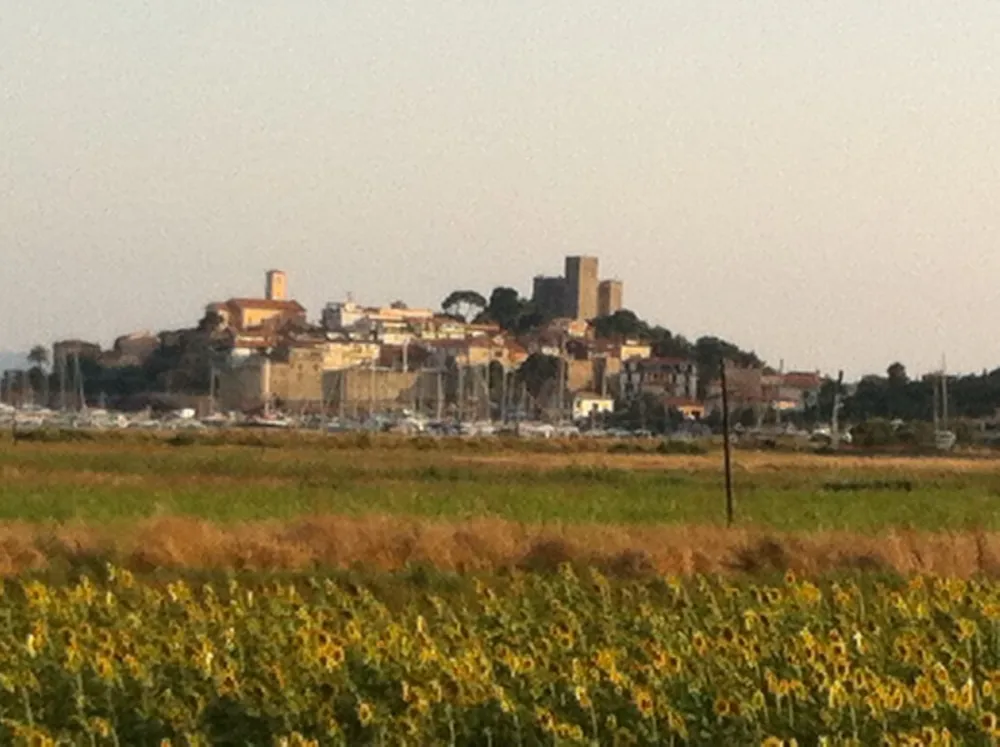 Talamone Village International