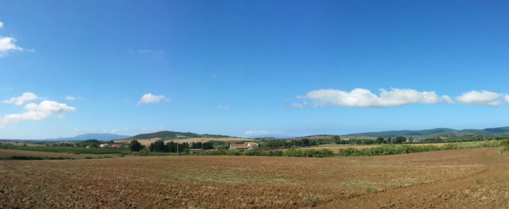 Talamone Village International