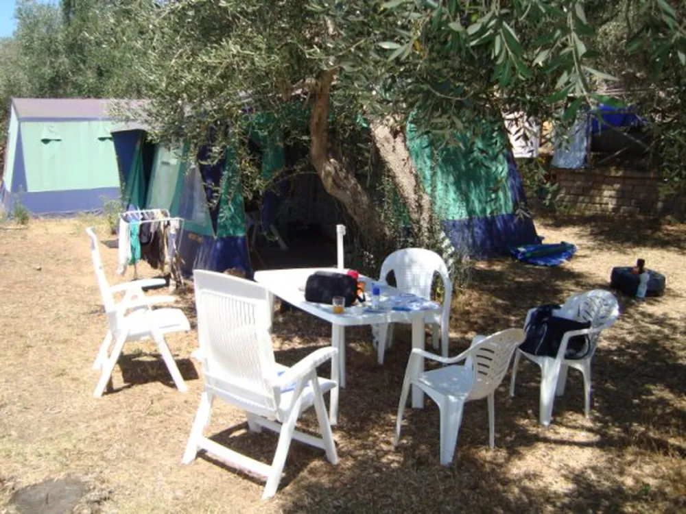 Talamone Village International