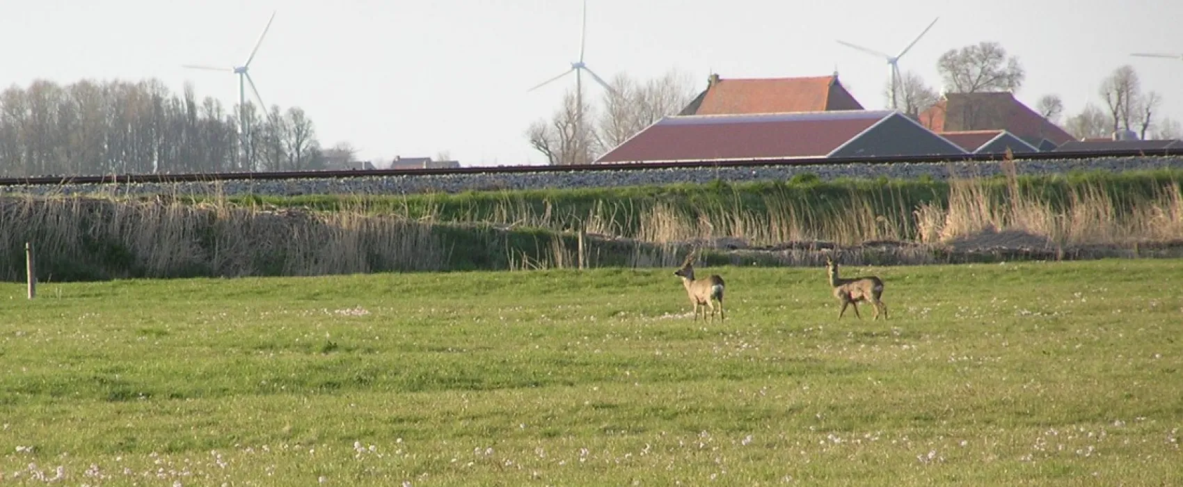 Minicamping De Klompen
