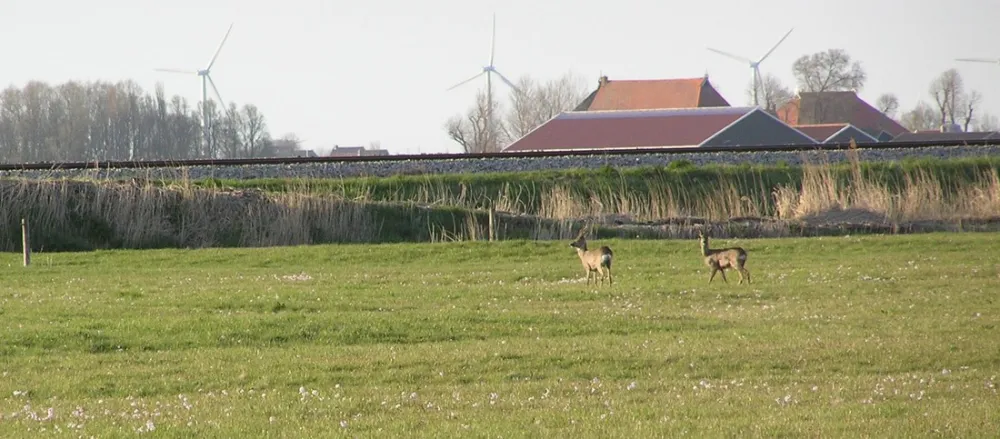 Minicamping De Klompen