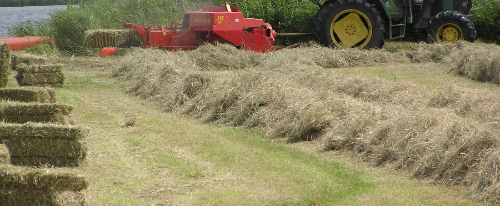 Minicamping De Klompen