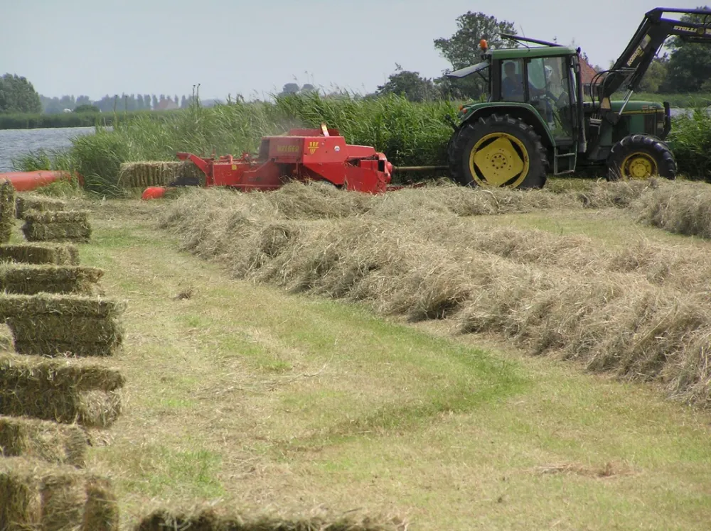 Minicamping De Klompen