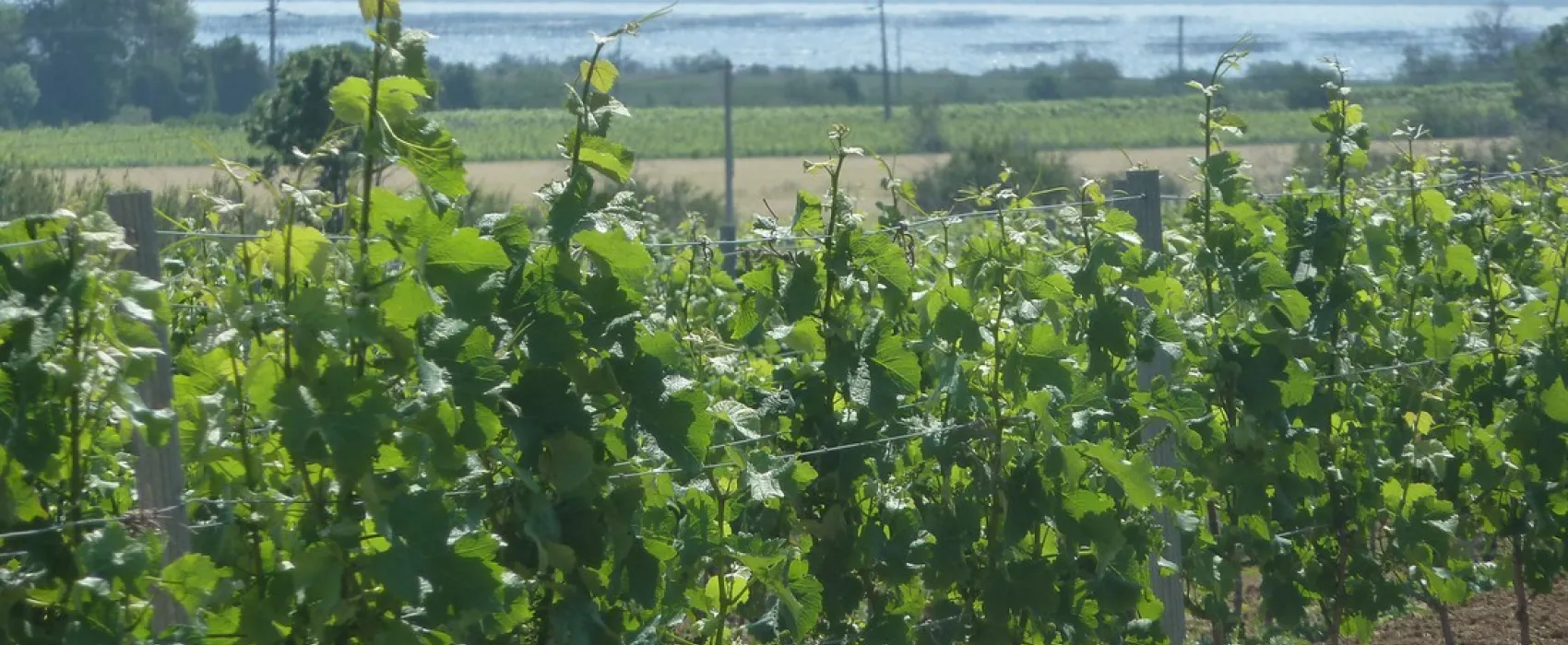 Aire Naturelle Villemarin